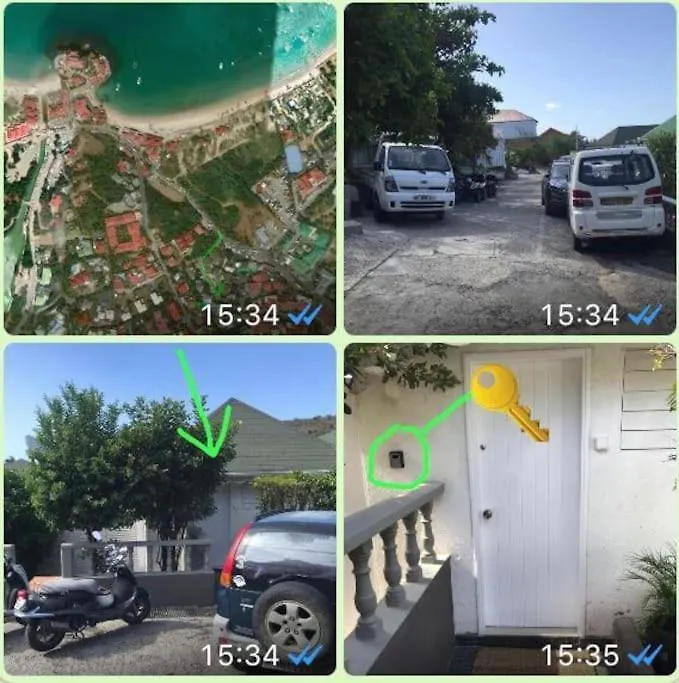 Central Palm St. Barthelemy Saint Barthelemy