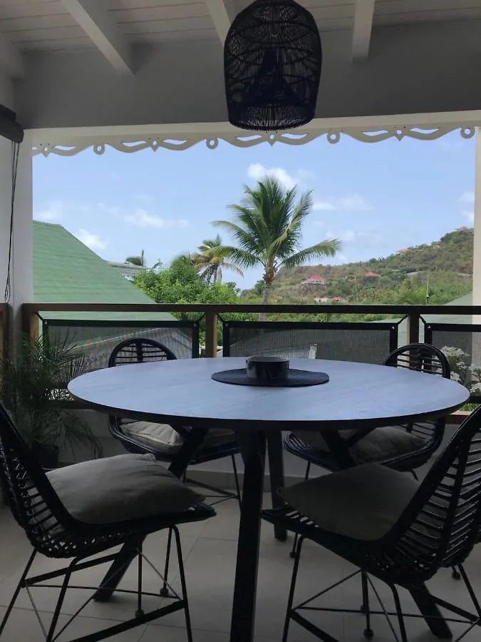 Central Palm St. Barthelemy